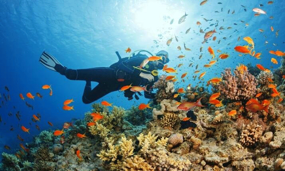 5 Alasan Kenapa Kamu Harus Liburan ke Sabang